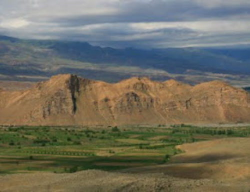 ERVANDASHAT
