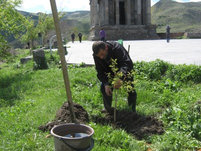 Ծառատունկ Ծառատունկ