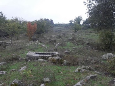 խոտ գյուղատեղի խոտ գյուղատեղի