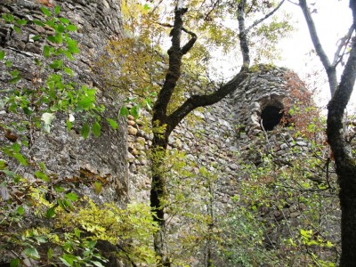 IMG_6708 IMG_6708