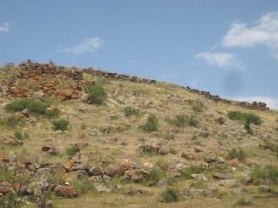 IMG_0015 IMG_0015