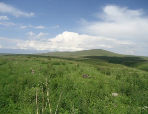 СЕЛИЩЕ “ЛЕРНАНЦКИ АВЕРАКНЕР”, “ДАРБНУ ХРБЕК”