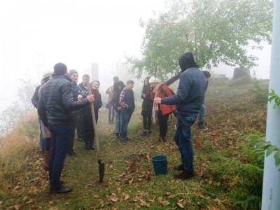 Ծառատունկ Գառնիում Ծառատունկ Գառնիում