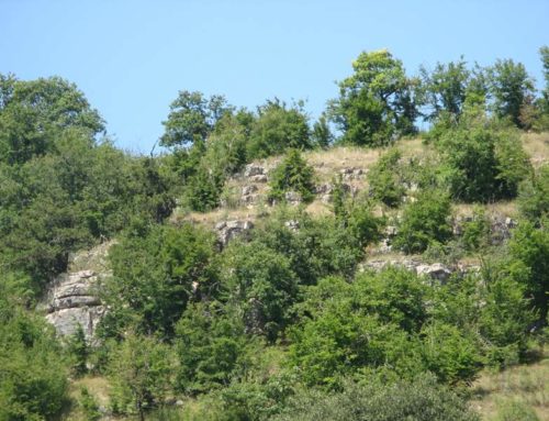 КРЕПОСТЬ “АСТГИ БЛУР”