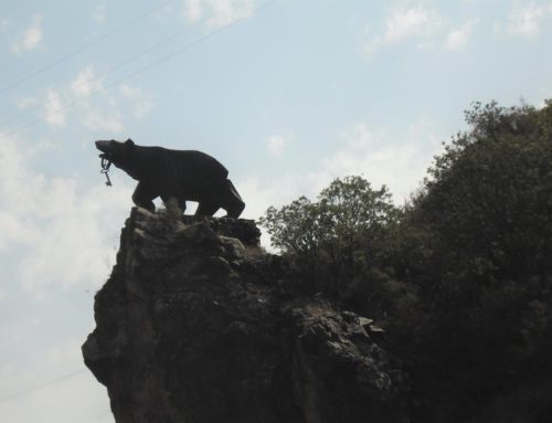 ”The bear is too free” or how the “Key of Kajaran” appeared