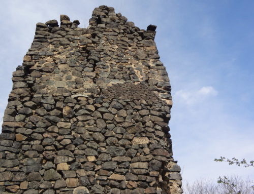“Sedvi” Fortress (about XIII c.)